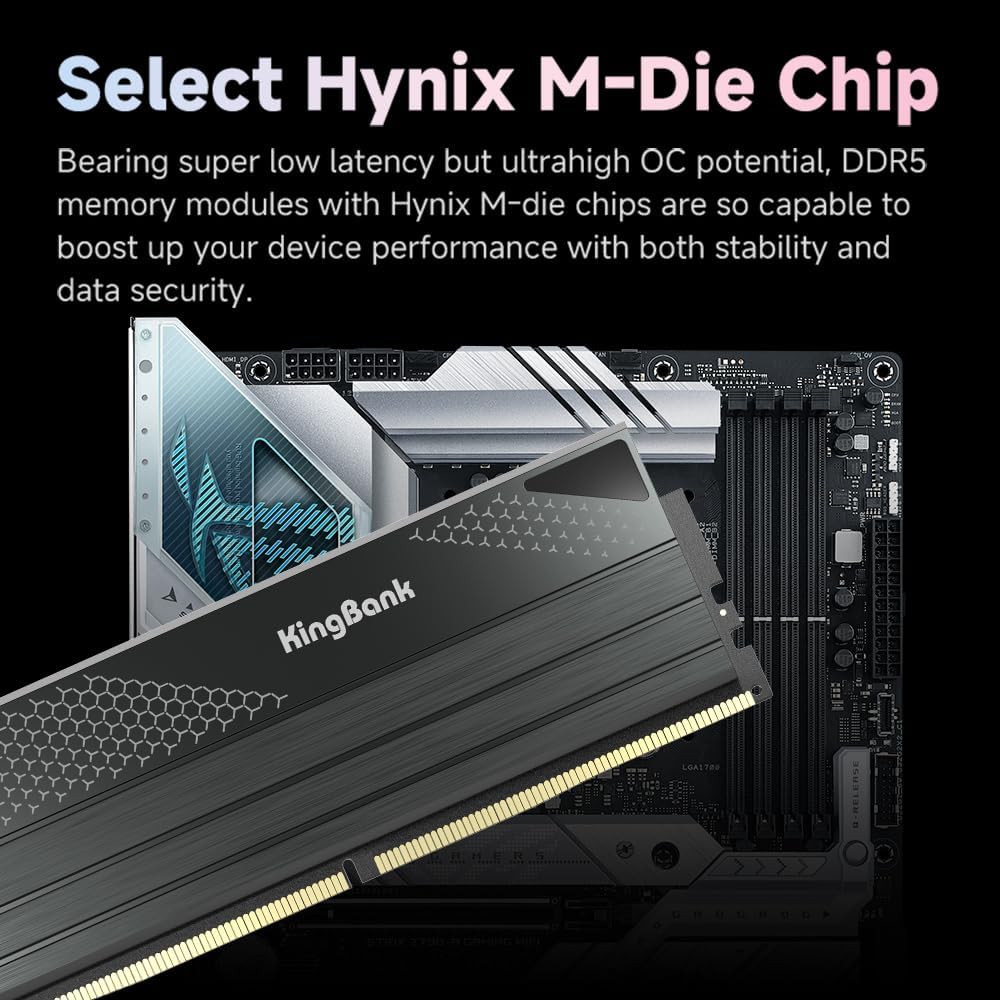 KingBank DDR5 KFXB Arbeitsspei – Ddr5 Kit Bewertung und Preis