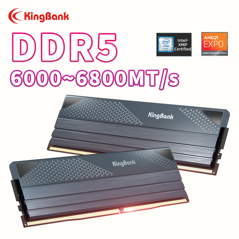 KingBank KFXB Serie DDR5 Speic – Ddr5 16Gb 6000Mhz Bewertung und Preis